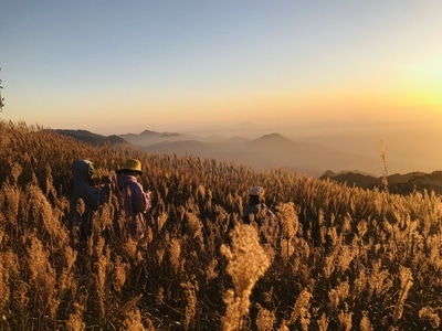 秋天-武功山风景-草甸-自然-草地 图片素材