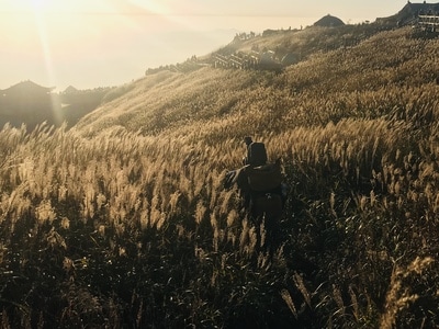 秋天-武功山风景-草甸-草甸-草地 图片素材