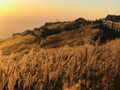 秋天-武功山风景-草甸-自然-草地 图片素材