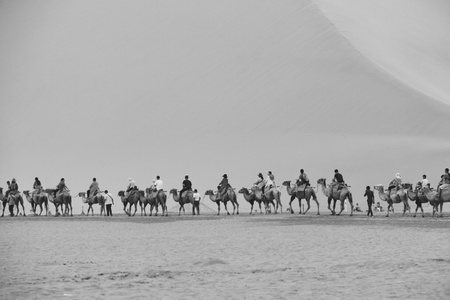 沙漠-黑白-世界-风光-旅行 图片素材