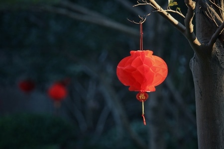 武汉加油-武汉-光影-灯笼-灯笼 图片素材