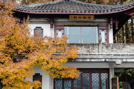 西湖-曲院风荷-杭州-枫叶-秋色 图片素材
