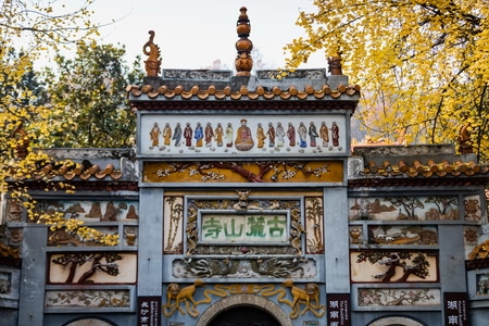 我的2019-长沙-岳麓山-古麓山寺-银杏叶 图片素材