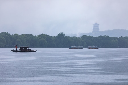 杭州-西湖-曲院风荷公园-雨中-烟雨 图片素材