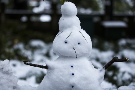 杭州-西湖-小雪人-雪人-小雪人 图片素材
