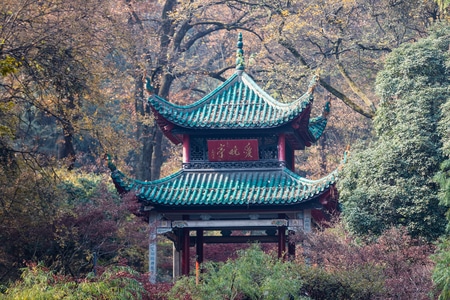 我的2019-长沙-岳麓山-爱晚亭-爱晚亭 图片素材