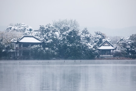 杭州-西湖-雪景-雪霁-花港观鱼 图片素材