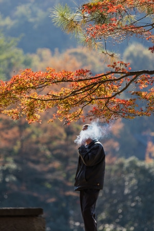 杭州-秋色-秋叶-枫叶-太子湾公园 图片素材