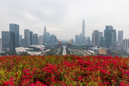 你好2020-深圳-莲花山公园-俯瞰-城市 图片素材