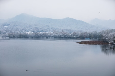 杭州-西湖-雪景-雪霁-花港观鱼 图片素材
