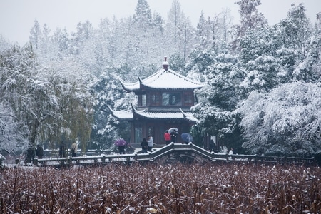 杭州-西湖-曲院风荷-雪韵-雪景 图片素材