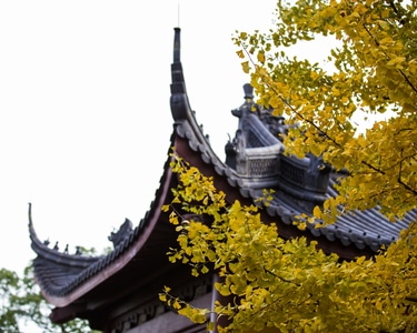 秋色-杭州-灵隐寺-寺庙-灵隐寺 图片素材