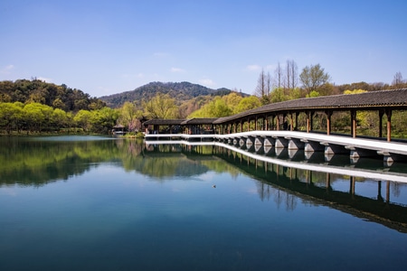 杭州-西湖-春天-浴鹄湾-杨公堤 图片素材