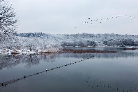 西湖-茅家埠-雪韵-杨公堤-杭州 图片素材