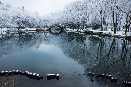 茅家埠-杨公堤-西湖-雪韵-杭州 图片素材