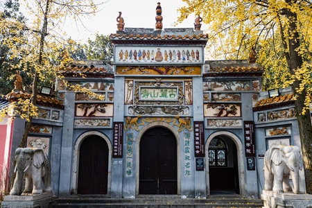 我的2019-长沙-岳麓山-古麓山寺-银杏叶 图片素材