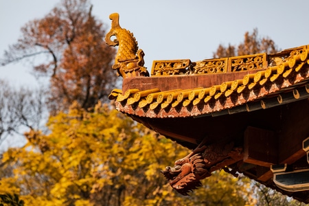 我的2019-长沙-岳麓山-寺庙-秋色 图片素材