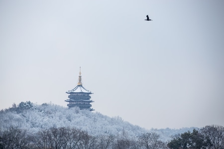 杭州-雪韵-雷峰塔-西湖-雷峰塔 图片素材