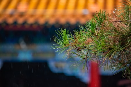 内蒙古-呼和浩特-寺庙-雨中-建筑 图片素材