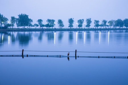 杭州-西湖-晨曦-白堤-风光 图片素材