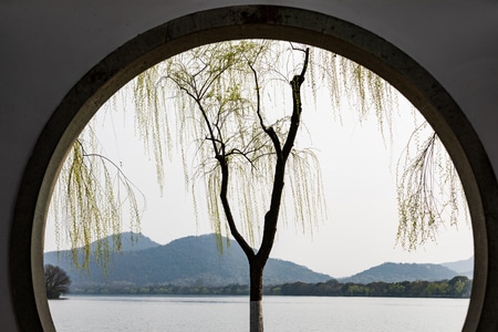 杭州-西湖-柳树-孤山路-风景 图片素材