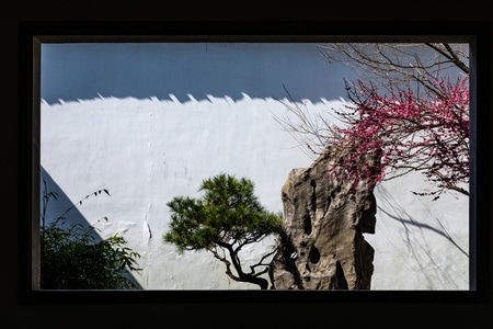 杭州-西湖-植物园-梅花-玉泉 图片素材