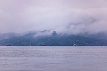 杭州-西湖-曲院风荷公园-雨中-烟雨 图片素材