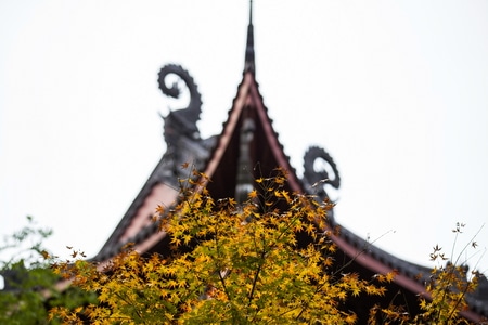 秋色-杭州-灵隐寺-寺庙-灵隐寺 图片素材