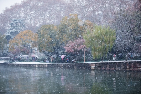 杭州-西湖-雪天-白雪-西湖 图片素材