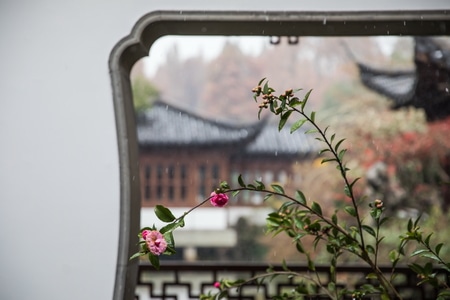 杭州-西湖-郭庄-雪景-下雪 图片素材