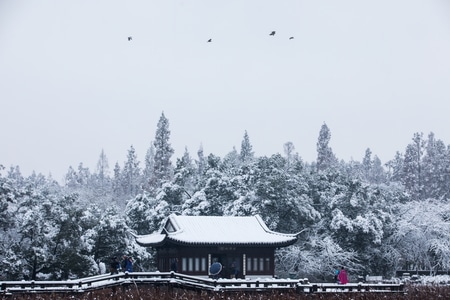 杭州-西湖-曲院风荷-雪韵-雪景 图片素材