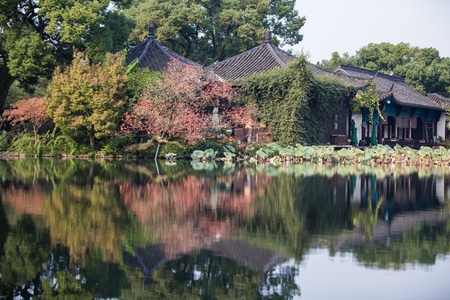 杭州-西湖-小瀛洲-秋色-西湖 图片素材