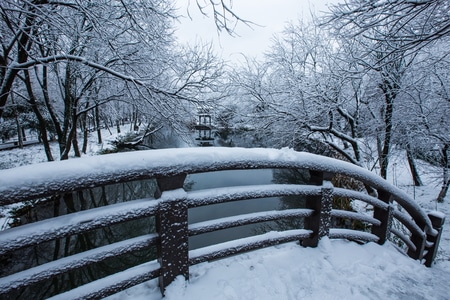 雪韵-杭州-西湖-杨公堤-茅家埠 图片素材