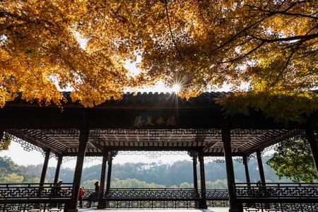杭州-西湖-秋色-枫叶-红叶 图片素材