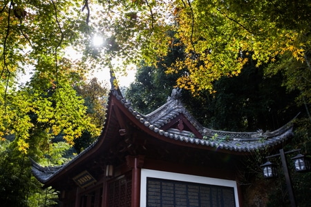 杭州-韬光寺-寺庙-秋色-黄叶 图片素材
