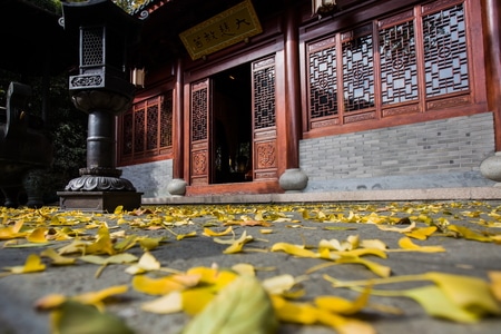 杭州-韬光寺-落叶-寺庙-秋天 图片素材