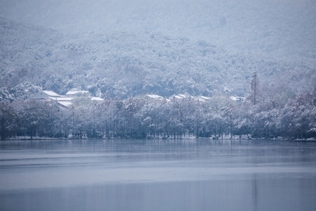 杭州-西湖-雪景-雪霁-花港观鱼 图片素材