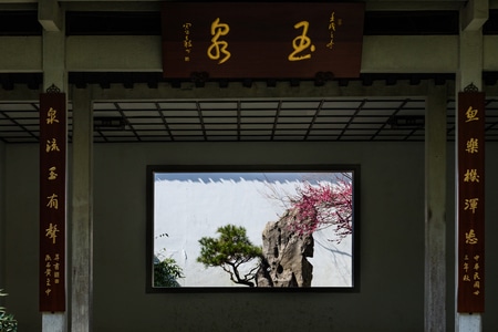 杭州-西湖-植物园-梅花-玉泉 图片素材