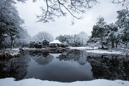 杭州-西湖-杨公堤-茅家埠-雪韵 图片素材