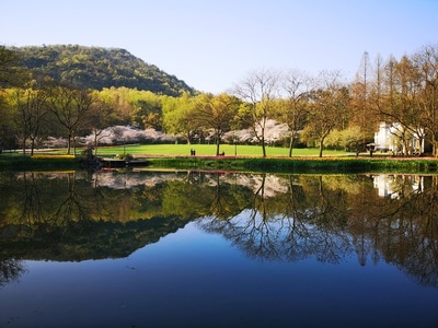 杭州-西湖-太子湾公园-春天-樱花 图片素材