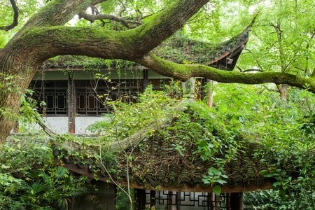 杭州-故居-建筑-俞曲园纪念馆-孤山 图片素材