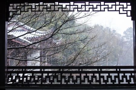 杭州-曲院风荷-雪韵-西湖-树 图片素材
