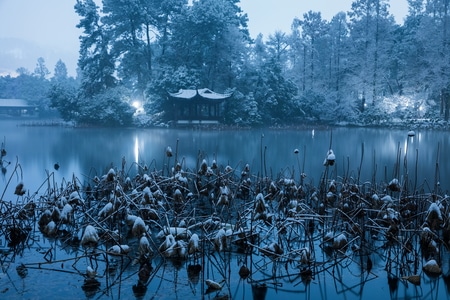 杭州-西湖-雪韵-雪景-雪霁 图片素材