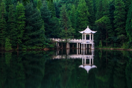 绿色地球-浙江-余姚市-四明山-四明山庄 图片素材