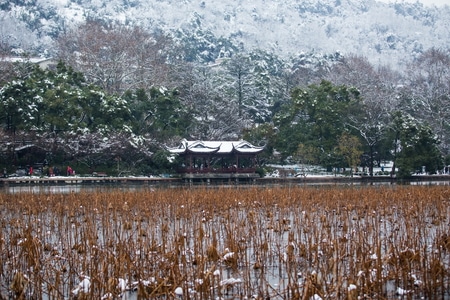 西湖-杭州-雪景-风光-北山街 图片素材