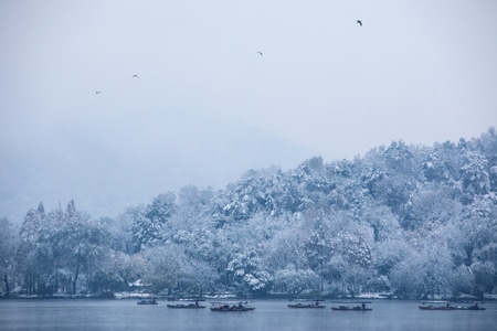 杭州-西湖-雪景-雪霁-花港观鱼 图片素材