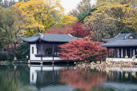 杭州-西湖-曲院风荷-秋天-枫叶 图片素材