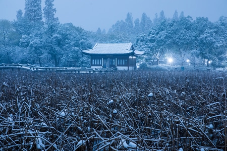 杭州-西湖-雪韵-雪景-雪霁 图片素材