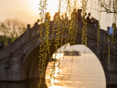 杭州-西湖-春天-柳树-夕阳 图片素材