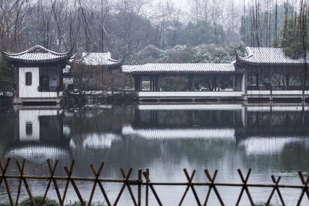 杭州-西湖-曲院风荷-雪韵-曲院风荷 图片素材